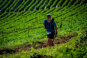 BIB: 128, 
                            <button type="button" onclick="openModal(19161062)" class="btn btn-primary btn-sm float-right btn-popup" data-toggle="modal" data-target=".modal-high-quality">
                        <i class="fas fa-shopping-cart"></i> Add to Cart
                    </button>
                                            <button type="button" onclick="isThisMe(19161062, true)" class="btn btn-success btn-sm float-right btn-popup btn-isme hidden" data-toggle="tooltip" data-placement="bottom" title="นี่คือรูปของคุณใช่ไหม คลิกที่นี่เพื่อเอาเข้าอัลบั้ม">
                        <i class="fas fa-plus"></i> Add to album
                    </button>
                    <button type="button" onclick="isThisMe(19161062, false)" class="btn btn-warning btn-sm float-right btn-popup btn-isnotme hidden">
                        <i class="fas fa-ban"></i> Remove from album
                    </button>